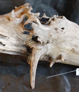 Mopane Wurzel - Skulptur, ca. 160 x 45 x 50 cm, 91553