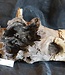 Mopane root - sculpture, approx. 160 x 45 x 50 cm, 91553