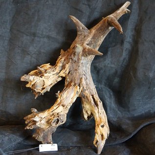 Mopane root - sculpture, approx. 95 x 60 x 30 cm, 91555