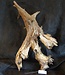 Mopane root - sculpture, approx. 95 x 60 x 30 cm, 91555