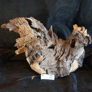 Mopane root - sculpture, approx. 60 x 50 x 50 cm, 91559