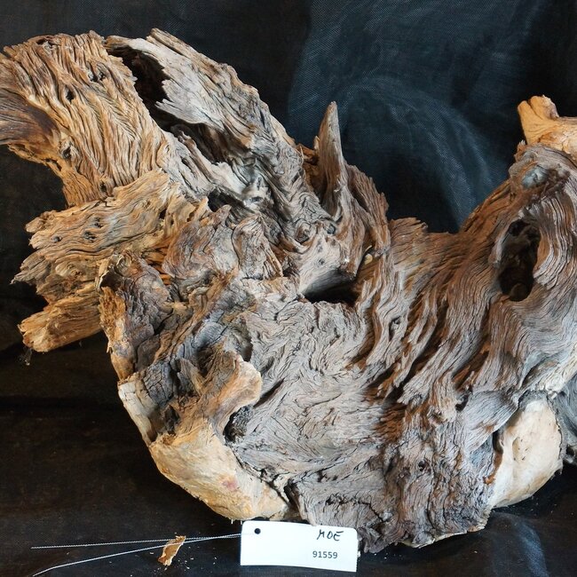 Mopane Wurzel - Skulptur, ca. 60 x 50 x 50 cm, 91559
