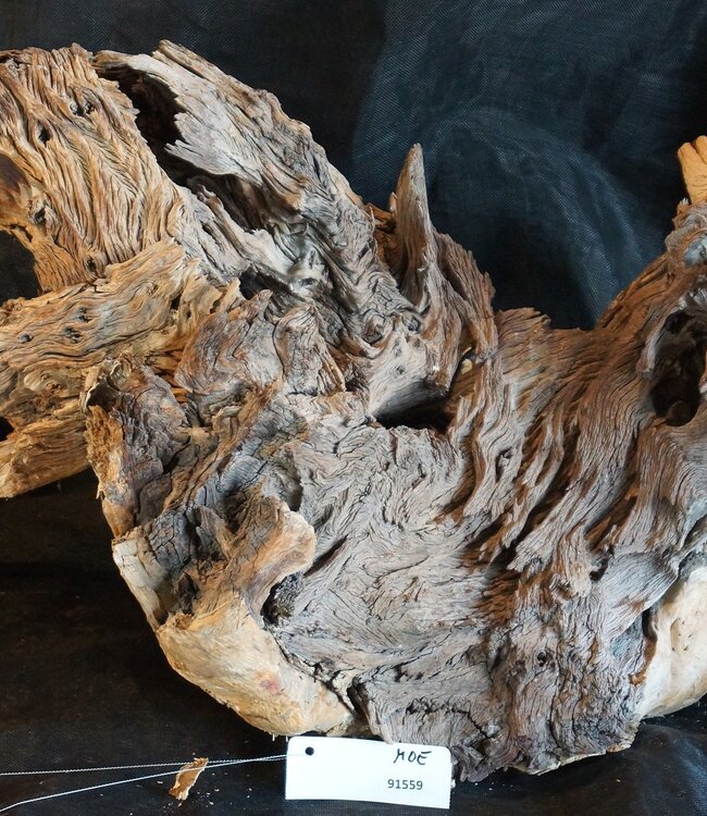 Mopane root - sculpture, approx. 60 x 50 x 50 cm, 91559