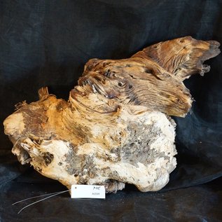 Mopane root - sculpture, approx. 60 x 50 x 50 cm, 91559