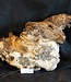 Mopane root - sculpture, approx. 60 x 50 x 50 cm, 91559