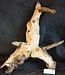 Mopane root - sculpture, approx. 70 x 40 x 17 cm, 91560