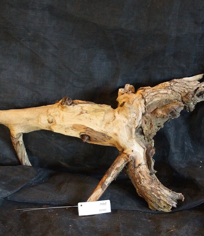 Mopane root - sculpture, approx. 70 x 40 x 17 cm, 91560