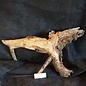 Mopane root - sculpture, approx. 70 x 40 x 17 cm, 91560