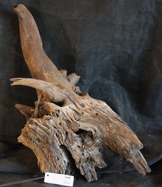 Mopane root - sculpture, approx. 65 x 35 x 30 cm, 91565