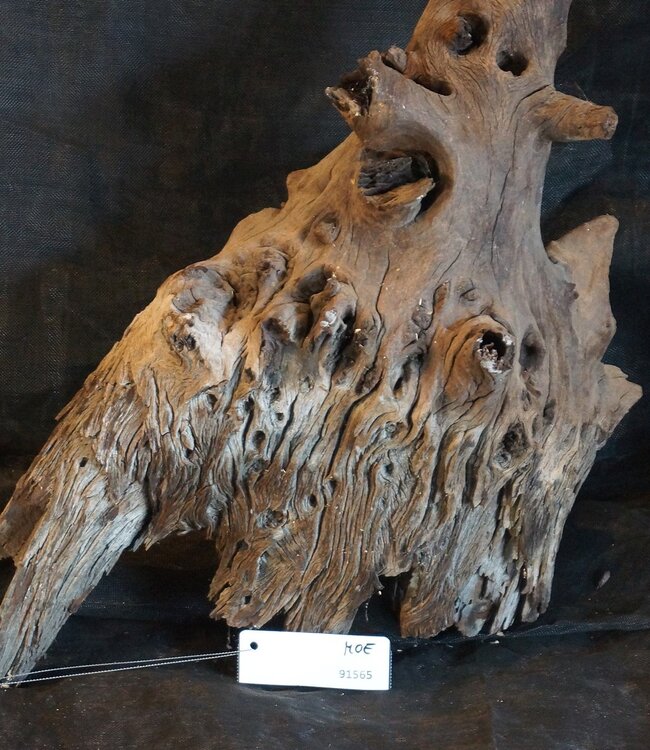 Mopane root - sculpture, approx. 65 x 35 x 30 cm, 91565