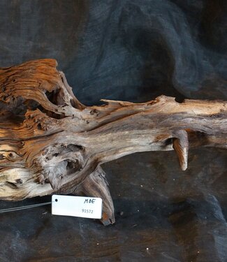 Mopane root - sculpture, approx. 70 x 32 x 25 cm, 91572