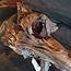 Mopane root - sculpture, approx. 70 x 32 x 25 cm, 91572