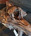 Mopane root - sculpture, approx. 70 x 32 x 25 cm, 91572