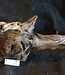 Mopane root - sculpture, approx. 70 x 32 x 25 cm, 91572