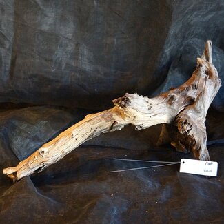 Mopane root - sculpture, approx. 50 x 40 x 22 cm, 91576