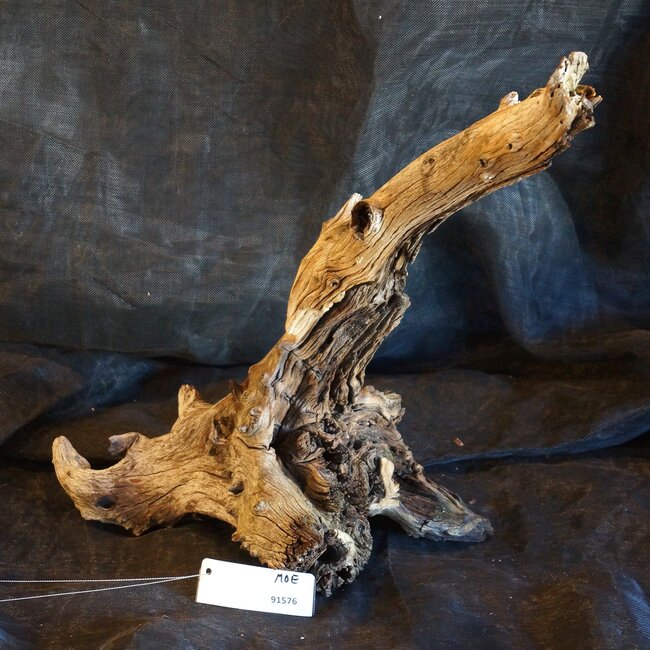 Mopane root - sculpture, approx. 50 x 40 x 22 cm, 91576