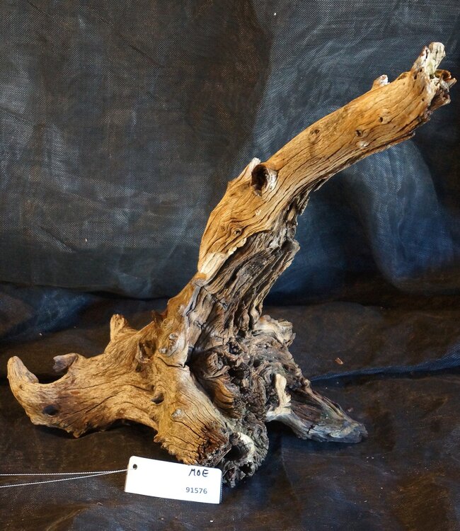 Mopane root - sculpture, approx. 50 x 40 x 22 cm, 91576