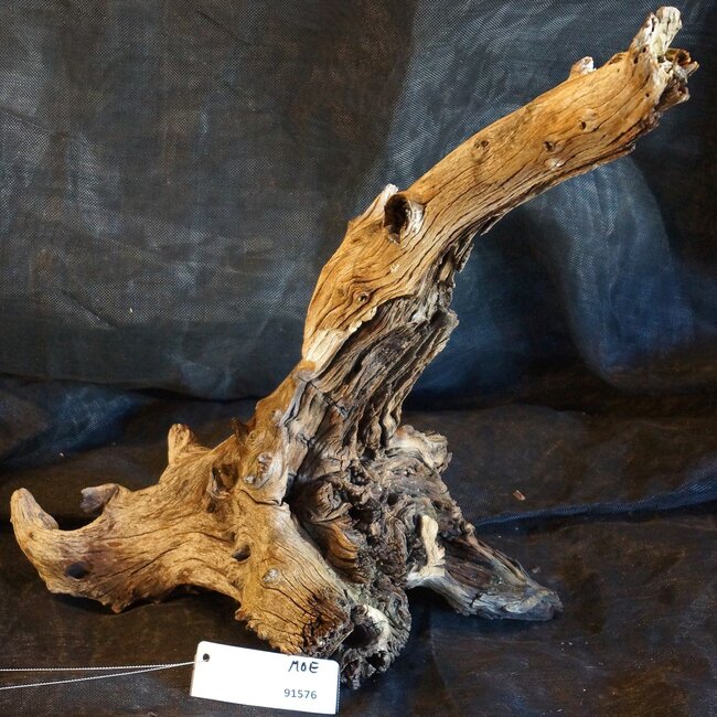 Mopane Wurzel - Skulptur, ca. 50 x 40 x 22 cm, 91576