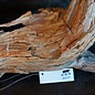 Camel thorn root - sculpture, approx. 80 x 70 x 20 cm, 91577