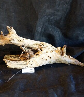 Mopane root - sculpture, approx. 80 x 27 x 25 cm, 91580