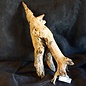 Mopane Wurzel - Skulptur, ca. 80 x 27 x 25 cm, 91580