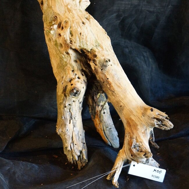 Mopane Wurzel - Skulptur, ca. 80 x 27 x 25 cm, 91580