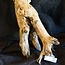 Mopane Wurzel - Skulptur, ca. 80 x 27 x 25 cm, 91580