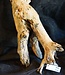 Mopane root - sculpture, approx. 80 x 27 x 25 cm, 91580