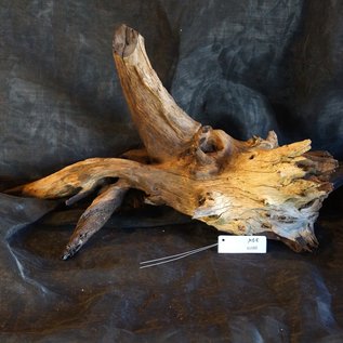 Mopane root - sculpture, approx. 80 x 40 x 40 cm, 91582