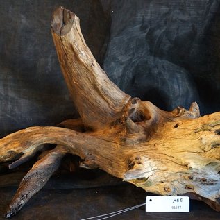 Mopane root - sculpture, approx. 80 x 40 x 40 cm, 91582