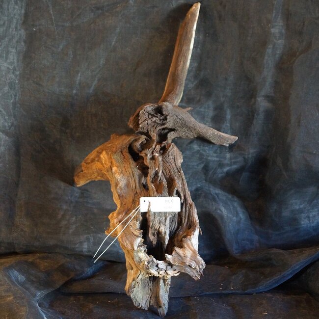 Mopane Wurzel - Skulptur, ca. 80 x 40 x 40 cm, 91582