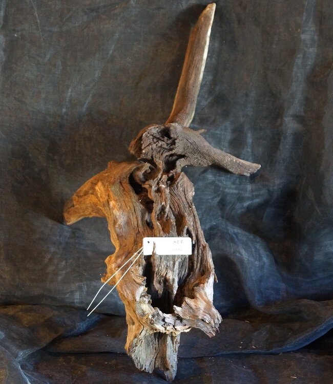 Mopane Wurzel - Skulptur, ca. 80 x 40 x 40 cm, 91582