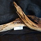 Mopane Wurzel - Skulptur, ca. 100 x 30 x 11 cm, 91585