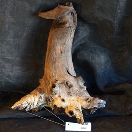 Mopane root - sculpture, approx. 45 x 30 x 27 cm, 91586