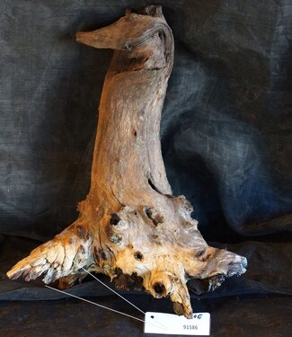 Mopane root - sculpture, approx. 45 x 30 x 27 cm, 91586