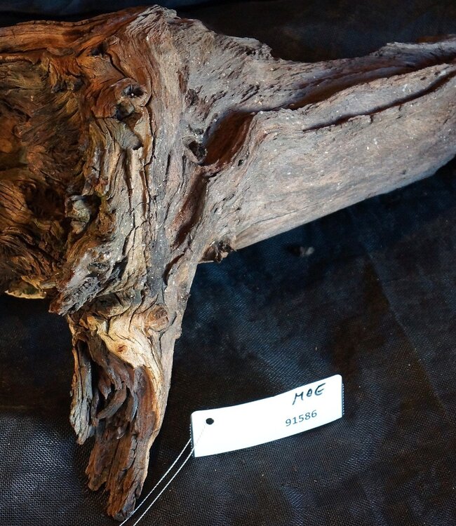 Mopane root - sculpture, approx. 45 x 30 x 27 cm, 91586