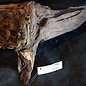 Mopane root - sculpture, approx. 45 x 30 x 27 cm, 91586