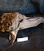 Mopane root - sculpture, approx. 45 x 30 x 27 cm, 91586