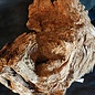 Kameldorn Wurzel - Skulptur, ca. 50 x 40 x 30 cm, 91588