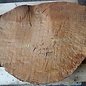 Madrona burl slab, approx. 680 x 650 x 40 mm, 12469