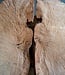 Madrona burl slab pair, approx. 1200 x 700 x 40 mm, 12468 a+b