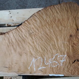 Madrona burl slab, approx. 870 x 630 x 40 mm, 12467