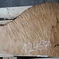Madrona burl slab, approx. 870 x 630 x 40 mm, 12467