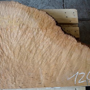 Madrona burl slab, approx. 890 x 690 x 40 mm, 12466