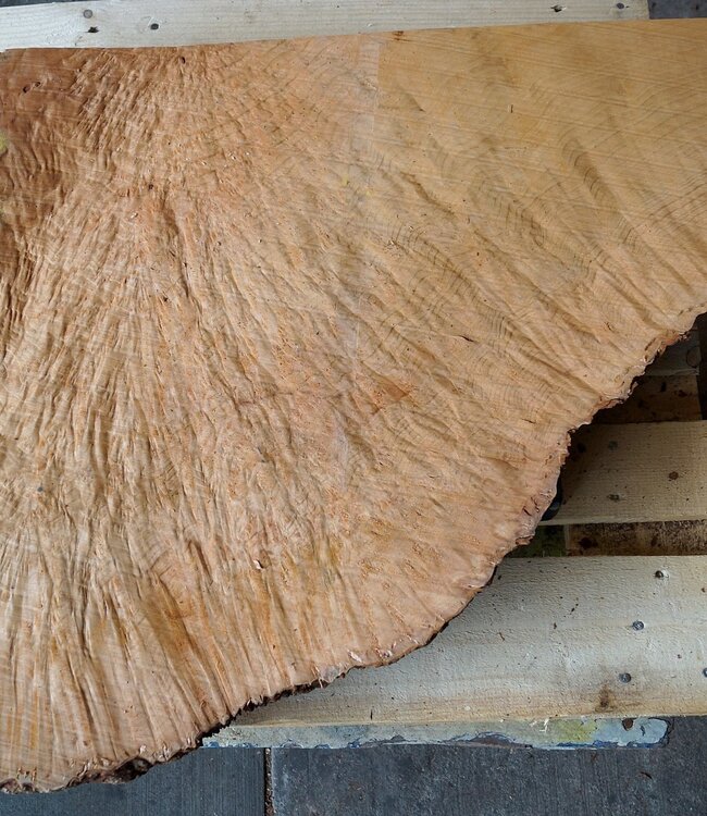 Madrona Maserplatte, ca. 890 x 690 x 40 mm, 12466