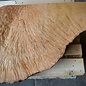 Madrona burl slab, approx. 890 x 690 x 40 mm, 12466