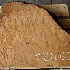 Madrona burl slab, approx. 770 x 640 x 40 mm, 12465