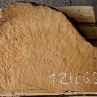Madrona burl slab, approx. 770 x 640 x 40 mm, 12465