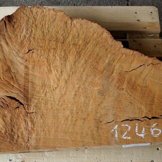 Madrona Maserplatte, ca. 800 x 610 x 40 mm, 12464