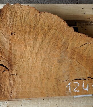 Madrona burl slab, approx. 800 x 610 x 40 mm, 12464